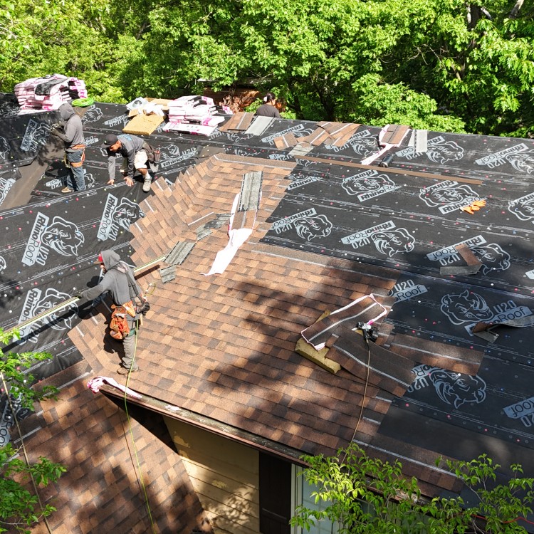 Just another WordPress site