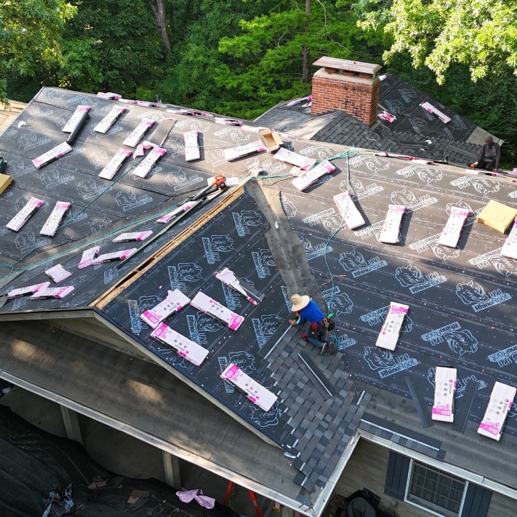 Just another WordPress site Just another WordPress site