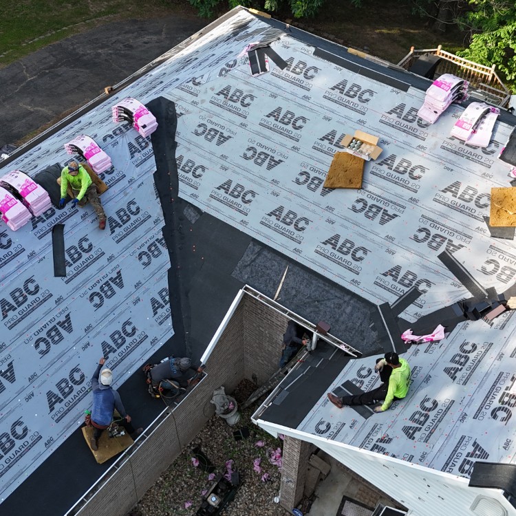 Just another WordPress site