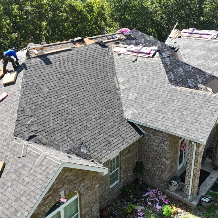 Just another WordPress site Just another WordPress site