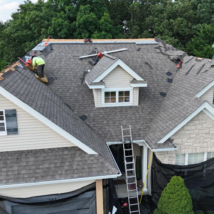 Just another WordPress site Just another WordPress site